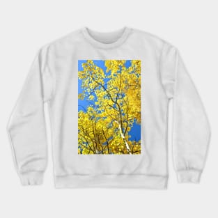 Golden Aspen Leaves in Colorado Fall Mountains Crewneck Sweatshirt